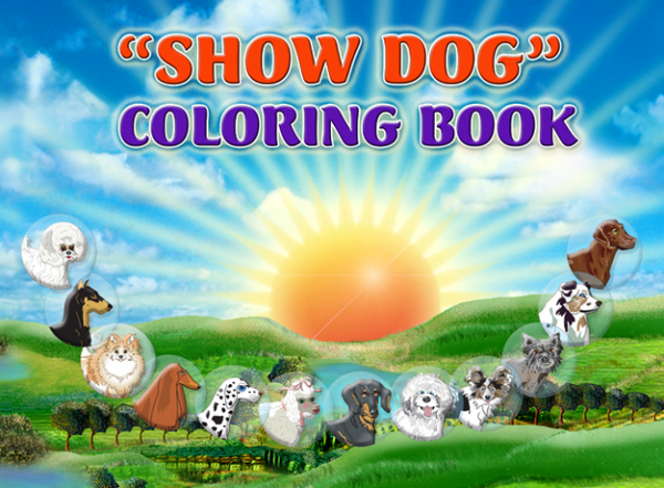 Picture Book Travel Cases for Girls (or Boys)