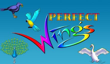 Perfect Wings 3D Animation